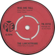We'll Sing in the Sunshine/Was She Tall  Pye 7N 15732 1964