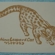 松野由起子@stamp zoo