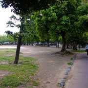 行徳公園