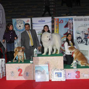 ARTU' E AURORA BIS JUNIOR HANDLER MONOGRAFICA CIRN 2011