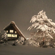 白川郷 岐阜 雪 ライトアップ 