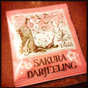 [KURONEKO no Instagram] 16/02/2015 Amanhã é performance em Nagoya ❗ Obrigada a todos! Hoje à noite temos o chá Darjeeling Sakura... adorável e saboroso sakura (flor de cerejeira) chás aromatizados.