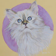 Pastell-Zeichnung - Format ca. DIN A-4 (~ 20x30cm)