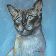 Pastell-Zeichnung - Format ca. DIN A-4 (~ 20x30cm)