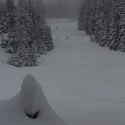 Schnee gabs ja genug...