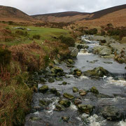 River Dargle, Wicklow Co