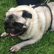 Gladys - Réf 140814/16 - F - Carlin - 2007 - Rem : Tournages - 