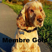 Patton - Cliquez pour voir son profil détaillé