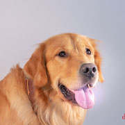Wilson
