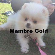 Mona - Cliquez pour voir son profil détaillé