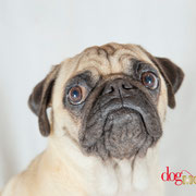 Guismo - Réf 160512 - Carlin - M - Tournage & Photos 