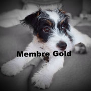 Marley - Cliquez pour voir le profil détaillé