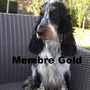 Jazz - Cliquez pour voir le profil détaillé 