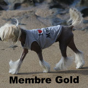 Galliano - Cliquez ici pour voir son profil détaillé