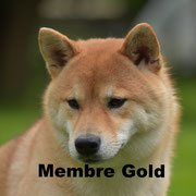 Haïko - Cliquez pour voir son profil détaillé