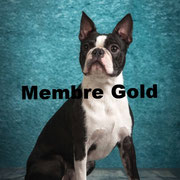 Barney - Cliquez pour voir son profil détaillé