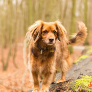 Millie - Réf 090105/16 - Kokony - F - Tournages & Photos 