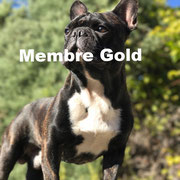 Lopper - Cliquez pour voir son profil détaillé