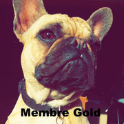 Bouf - Cliquez pour voir son profil détaillé 