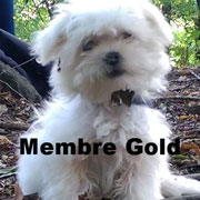 VR - Réf 28150916 - Cliquez pour voir le profil détaillé