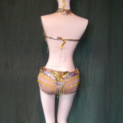 Costume Silver&Gold Butterfly