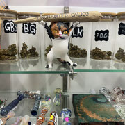 Flower and Smoking Accessories