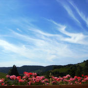 Blick aus dem Fenster, Hotel- Pension Enzian Todtnauberg