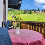 Balkon alleinstehend, Hotel- Pension Enzian Todtnauberg
