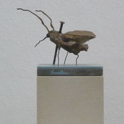 FALTER N (MOTH N) - diverse Materialien (various materials), 11 x 13 x 11 cm, 2011