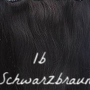 1b Schwarzbraun