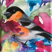 "Farbenfroh" (Dompfaff/Bullfinch). Aquarell und Öl auf Leinwand. 10 x 10 cm. 2023. 