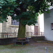 Unna, Klassentreffen zum 50. Abitur-Jahrestag - Photo: Sabine Anders