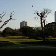 Willingdon Sport Club, Mumbai - Photo: Rita Marsmann