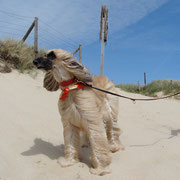 Sylt - Photo: Rita Marsmann