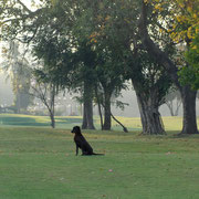 Willingdon Sport Club, Mumbai - Photo: Rita Marsmann