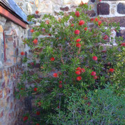 Plettenberg, SA - Photo: Sabine Anders