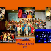 Musical Colours 2008