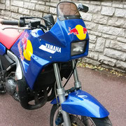 yamaha 250 TDR