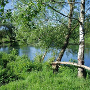 Brenz im Eselsburger Tal