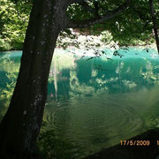 Blautopf in Blaubeuren