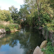 Brenz in Hermaringen