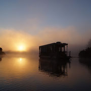 Peene im Nebel bei Sonnenaufgang