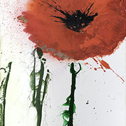 Mohn