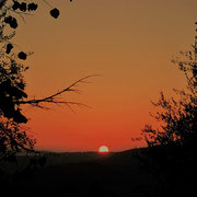 Abendsonne in der Toskana