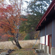 秋の親沢小屋