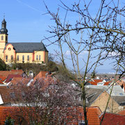 Blick zurück auf Nackenheim und die Kirche St. Gereon 