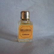 Bellodgia