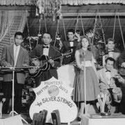 THE (HUNTER) SILVER STRINGS
