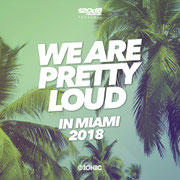 We Are Pretty Loud in Miami - Compiled & mini-mixed by Chico Chiquita