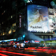 Paulchen in der City.